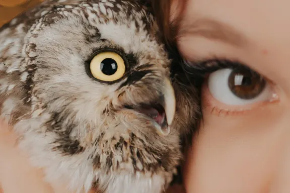 Kasyno AllStar Slots Wsparcie